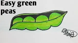 How to draw a Green peas |Simple green peas for kids |AK arts |