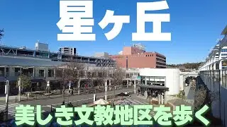 美しき文教地区【名古屋・星ヶ丘】の洗練された風景