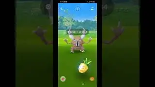 First ever mega pinsir raid in Pokemon go #megapinsir