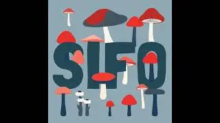#1 - SIFO - Part 1