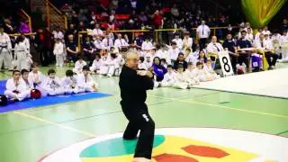 Shihan Jesús Talán - Exhibición Geksai Sho, normal, hacia atrás y ura.
