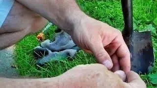 Finding Gold, Friends, & Community: The Culture of Metal Detecting