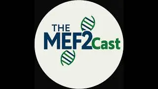 Episode 17: Interdisciplinary Approaches to Therapy with Lauren, Kaycee, and Tyler