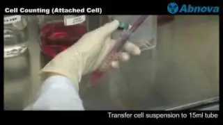 Cell Counting (Attached cell)