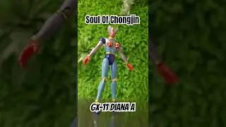 Soul of Chogokin GX-11 Diana A