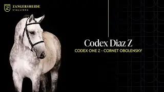 Codex Diaz Z - Hengstpräsentation 2025 GER