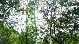 Taxi Ride to Peak View - Hong Kong