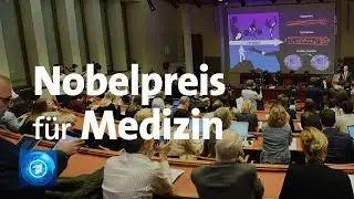 Medizin-Nobelpreis an drei Zellforscher