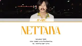Balming Tiger 바밍타이거 NETTAIYA Lyrics Color Coded Lyrics  Kan/Rom/Eng