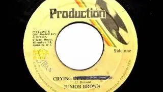 Junior Brown - Crying In Your Grave