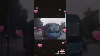 Bus 19