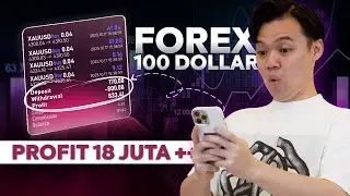 CARA TRADING FOREX DI TAHUN 2026 (PEMULA LANGSUNG PRAKTEK)