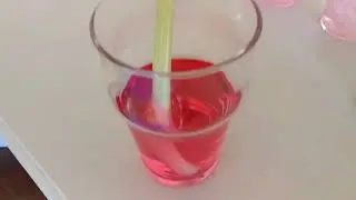 Biology of Water: Water flows up, not down!?