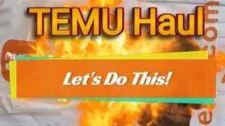 TEMU Haul (Not Sponsored)