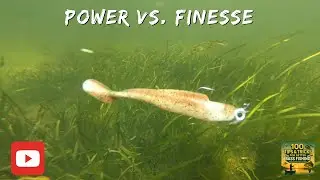 POWER vs. FINESSE FISHING: The ULTIMATE Guide to Choosing the Right Technique