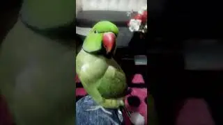 mithu beta new video