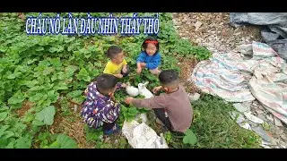 CHÁU TỦA CHÁU NÔ MỒ CÔI,  CHÁU NÔ LẦN ĐẦU ĐƯỢC CHĂM SÓC THỎ