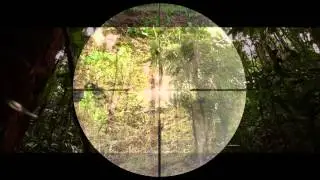 Yukon Advanced Optics Worldwide. Рекламный ролик