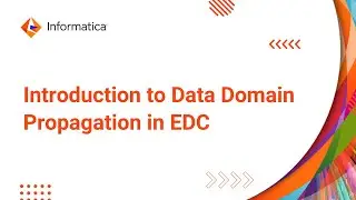 Introduction to Data Domain Propagation in EDC