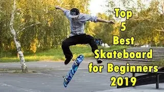 Top 5 Best Skateboard for Beginners 2019