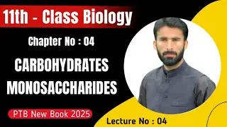Lec 4 l Carbohydrates l Monosaccharides l Structure l Class 11 l Biology l Newbook l 2025
