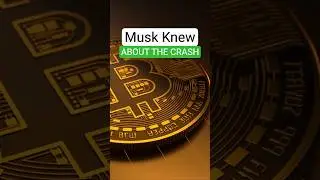 Did Musk&rsquo;s Tweet Predict the Bitcoin Crash?