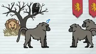 🐾 Why It Sucks to Be a Male Hyena | Nature&rsquo;s Harshest Social System