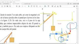 EJERCICIOS DE UNIDAD 11 - EQUILIBRIO Y ELASTICIDAD