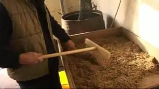 Barley To Beer