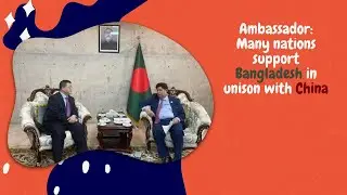 Ambassador: Many nations support Bangladesh in unison with China