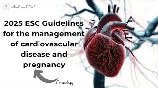2025 ESC Guidelines for the management  of cardiovascular disease and pregnancy