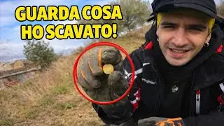 Ricerca con metal detector in un uliveto
