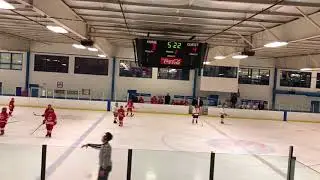 RYHA PW AAA Minor vs. Jr. Preds AAA Minor G2/Per 2 1-6-18