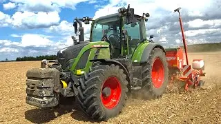 Fendt 516 Vario per GPS-Navi mit 6 -Reihen GASPARDO beim Mais legen 2025