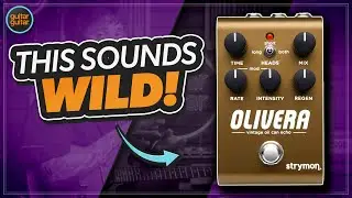 Я никогда не слышал такой задержки | Strymon Olivera Oil Can Echo