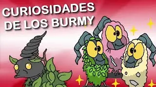 ¿POR QUÉ DEBES AMAR A LOS BURMY? | Curiosidades Pokémon | Scorph