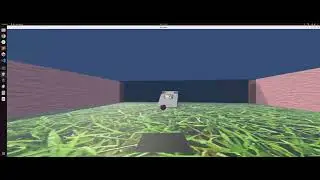 Vision First person POV