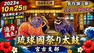 創作獅子舞「琉球國祭り太鼓 宮古支部」2023年10月25日 宮古神社まつり【宮古神社 御神殿】lion dance