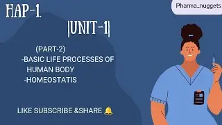 -basic life processes of human body -homeostasis (@PharmaNuggetsofficial) like share subscribe❤️