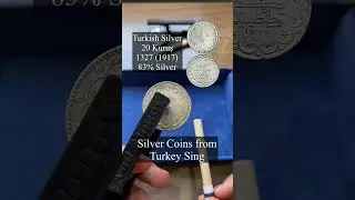 20 Kurus Turkish Silver Ping Test