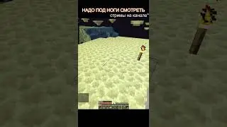 айпи в комментах #minecraft #stream #streamer #funtime #meltarion #reallywolrd #pvp #event