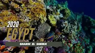 Sharm el-Sheikh - Egypt 2020