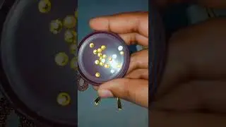 Golden hairband set