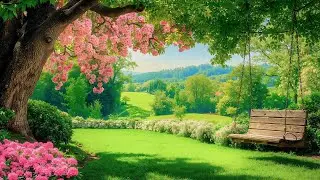 Calming Relaxing Music 🍀 Nature Sounds for Deep Healing & Mind Relaxation