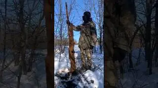 Нашли с металлоискателем на месте боев авиационную пушку ВЯ-23 #металлоискатель #коп #клад