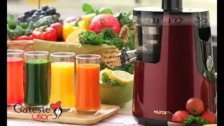 Storcator de Fructe si Legume Hurom Slow Juicer HH-EBE06