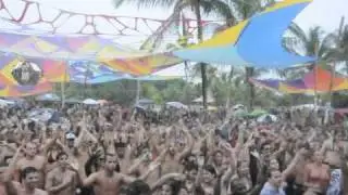 Perfect Stranger Live @ 303 Art Festival ( preview )