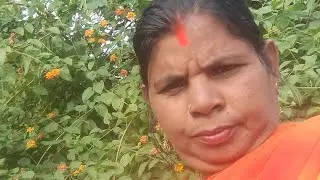 Jasmata Kashyap Vlogs लाइव है!