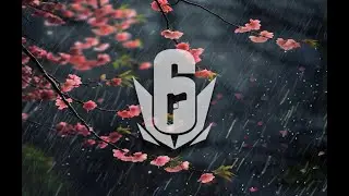 Customs W/ Subscribers