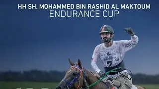 H.H SHEIKH MOHAMMED BIN RASHID AL MAKTOUM CUP 2026